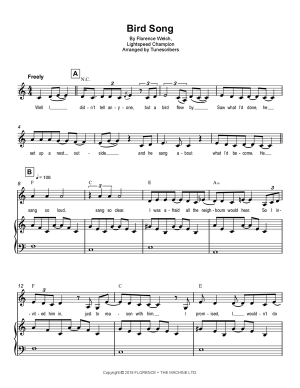 Bird Song | Tunescribers